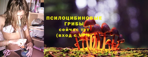 прущая мука Верхний Тагил
