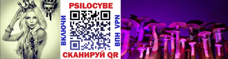 где можно купить Оха Псилоцибиновые грибы ЛСД